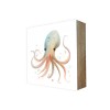 Stadtliebe® | Cube-Bild Sea-Linie „Oktopus Otto“
