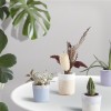 FLOWERPOT - DIY Bausatz für 3x individuelle Blumenübertopf