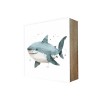 Stadtliebe® | Cube-Bild Sea-Linie „Hai Harald“