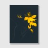 ZEITLOOPS "Floralis V", Posterprint 30x40 cm
