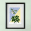 Hey Urban Monkey - A4 Poster - „Begonia/Staghorn“