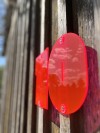 THE SUPER HOUSE NUMBER NEON RED - Hausnummer von not white studio