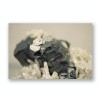 ZEITLOOPS "Kristall I", Fineartprint 40x60 cm