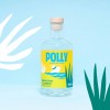 POLLY Mexican Classic 500 ml – Alkoholfreie Tequila Alternative