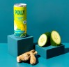 POLLY Classic G&T - 4er-Pack (inkl. 0,25 € Pfand)