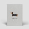 Postkarte - Dackel zum Abschluss - Nr. 302 - Naturbedacht