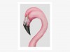 typealive / Flamingo