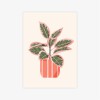 Calathea Pflanze / Print A4, A5 / Svea Hansohn Illustration