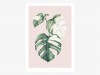 typealive / Tropical No. 4