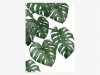 typealive / Tropical No. 6