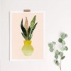 Paperlandscape | Kunstdruck | Zimmerpflanze | Sansevieria | verschiedene Farben