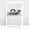 Amy & Kurt Berlin Artprint "Schwarze Schafe"