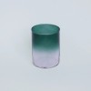 Blankstill Tumbler/Trinkglas "Fern" mit Farbverlauf (380 ml)
