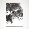 nahili ARTPRINT / POSTER "endless summer WIND" Palmen Artprint (DIN A1/A2/A3 & 50x70cm)