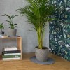 Keilbach Blumentopfunterlage flora-m, Ø 34cm, nur 9mm dick, schützt empfindliche Böden