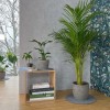 Keilbach Blumentopfunterlage flora-s 25cm