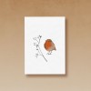 tucán y limón – Rotkelchen / Aquarell Postkarte A6 (5er-Set)