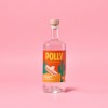 POLLY Mexican Classic 500 ml – Alkoholfreie Alternative inspiriert von Tequila