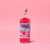 POLLY Pink Aperitif 500 ml – Alkoholfrei