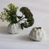 Artichoke Vase - RE.LICS