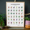 Saisonkalender Obst & Gemüse, Format A4, Poster mit 36 Obst- & Gemüsesorten in Farbe
