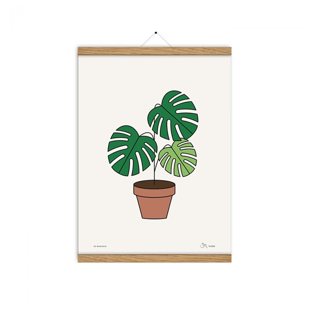 redfries la monstera a3 – Kunstdruck DIN A3