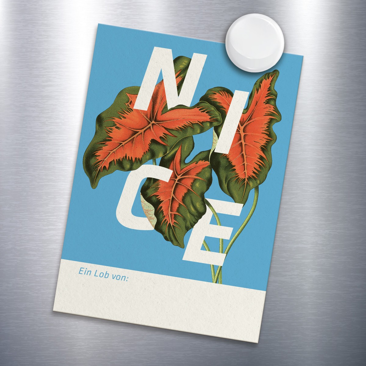 Lobkärtchen NICE (XL)