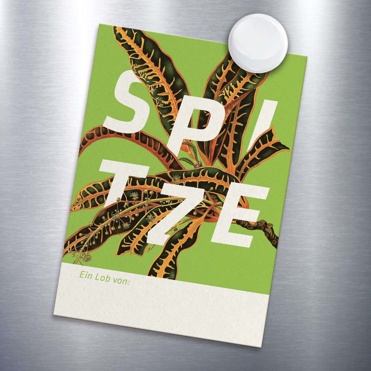 Lobkärtchen SPITZE (XL)