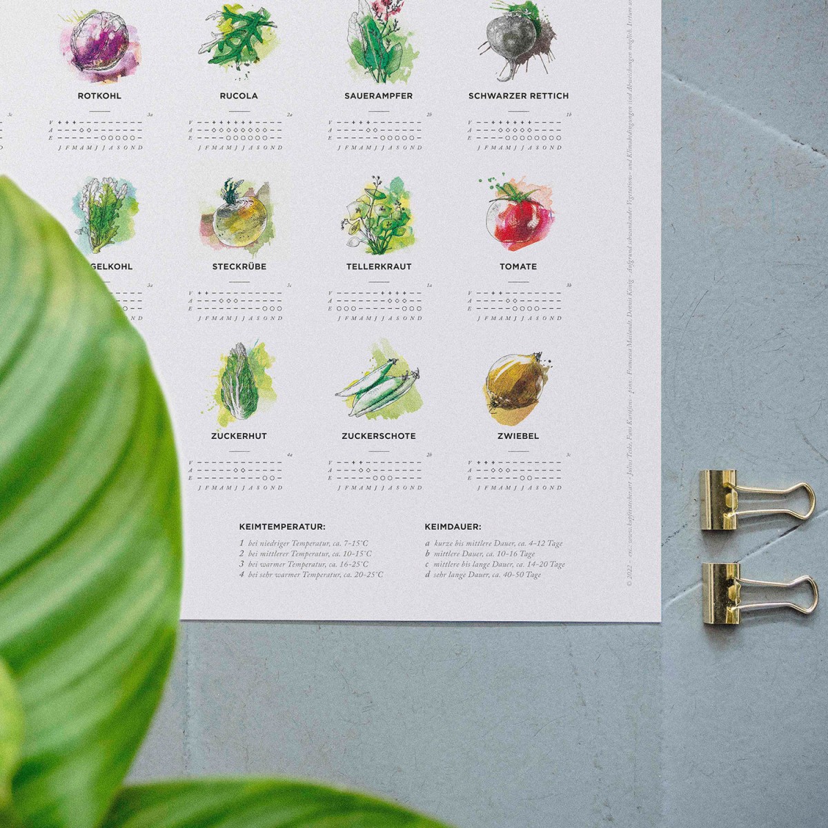 30x40cm Pflanzkalender und Aussaatkalender für den Garten