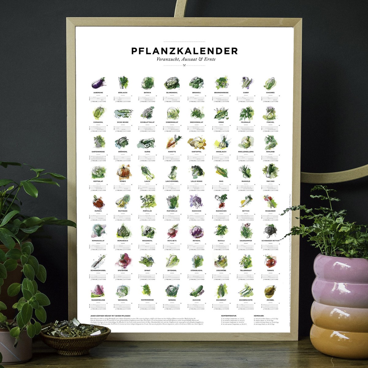 A2 Pflanzkalender und Aussaatkalender für den Garten