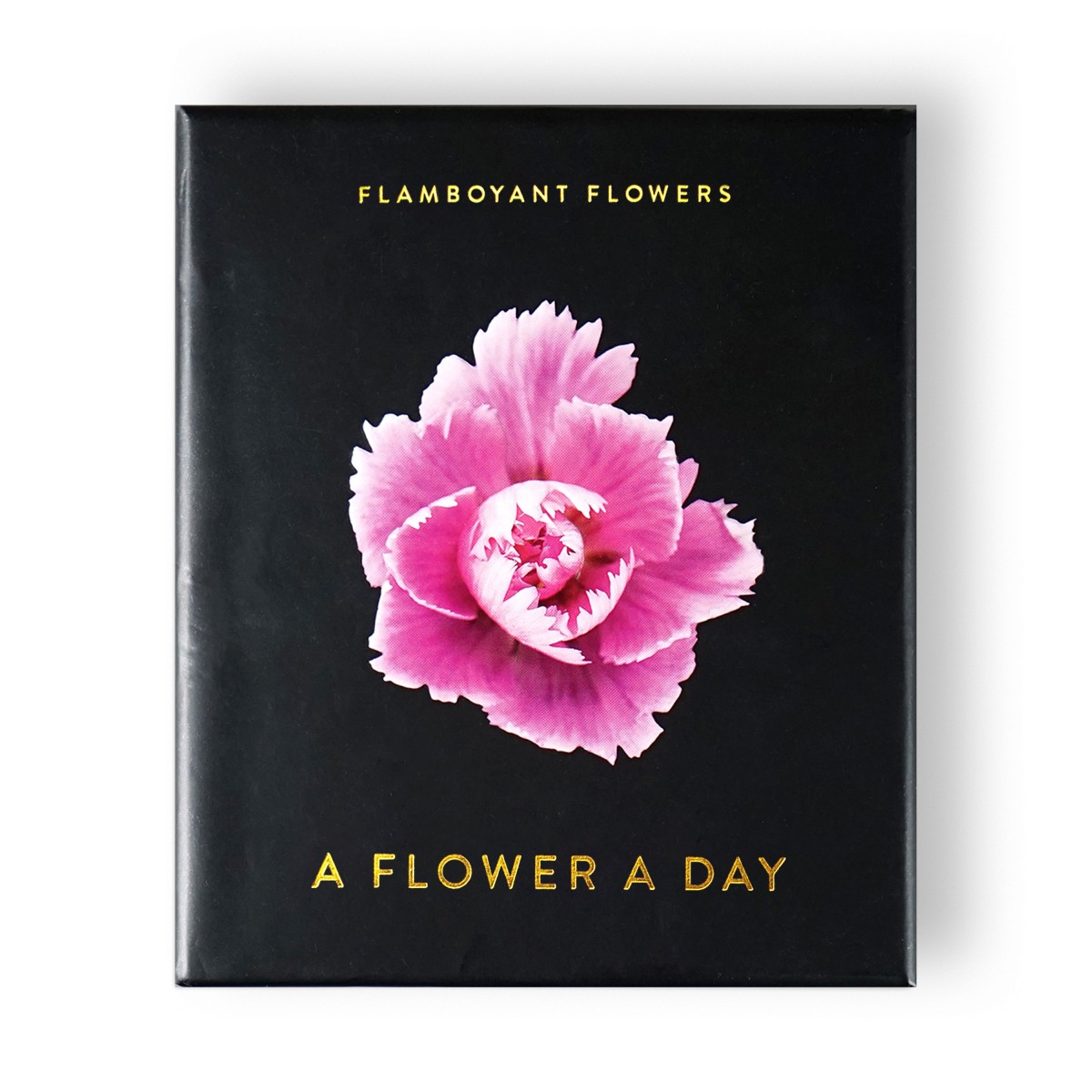 A Flower A Day – Flamboyant Flowers (Tagesabreißkalender)