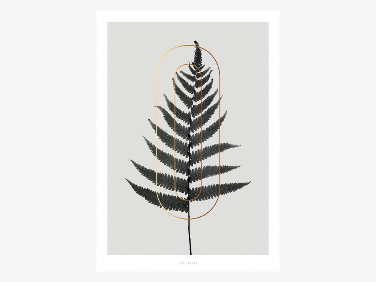 typealive / ABC Plants - O