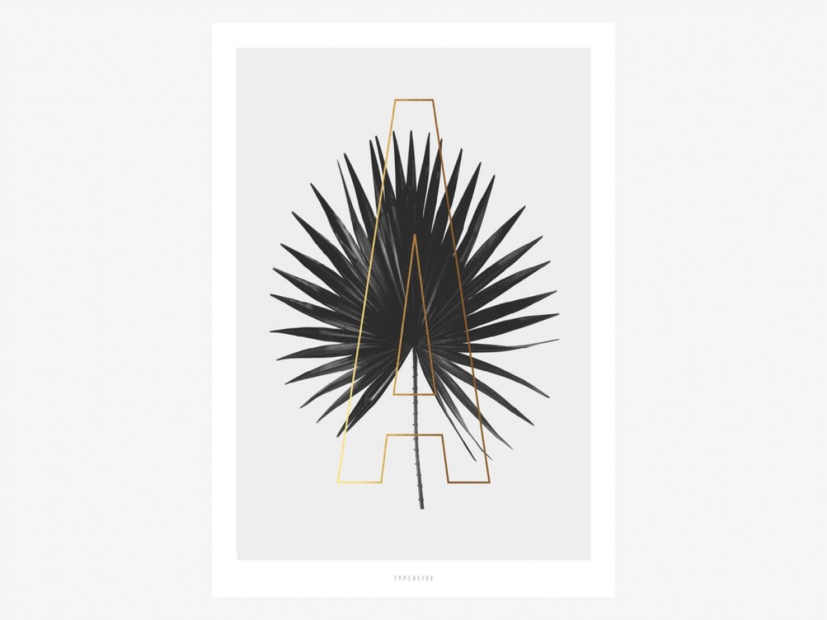 typealive / ABC Plants - A