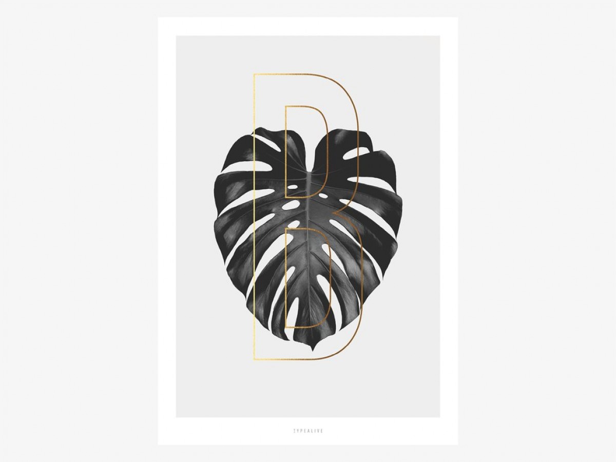 typealive / ABC Plants - B