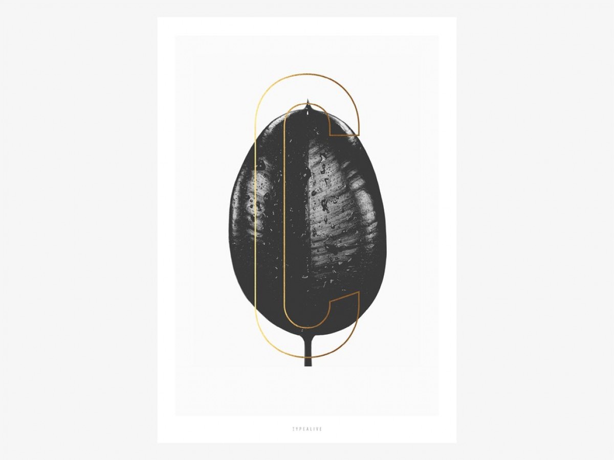 typealive / ABC Plants - C