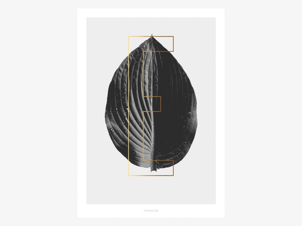 typealive / ABC Plants - E
