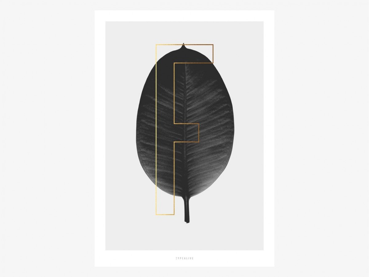 typealive / ABC Plants - F