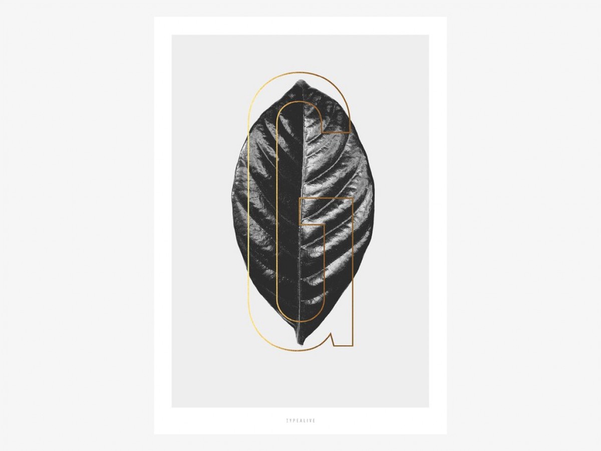 typealive / ABC Plants - G