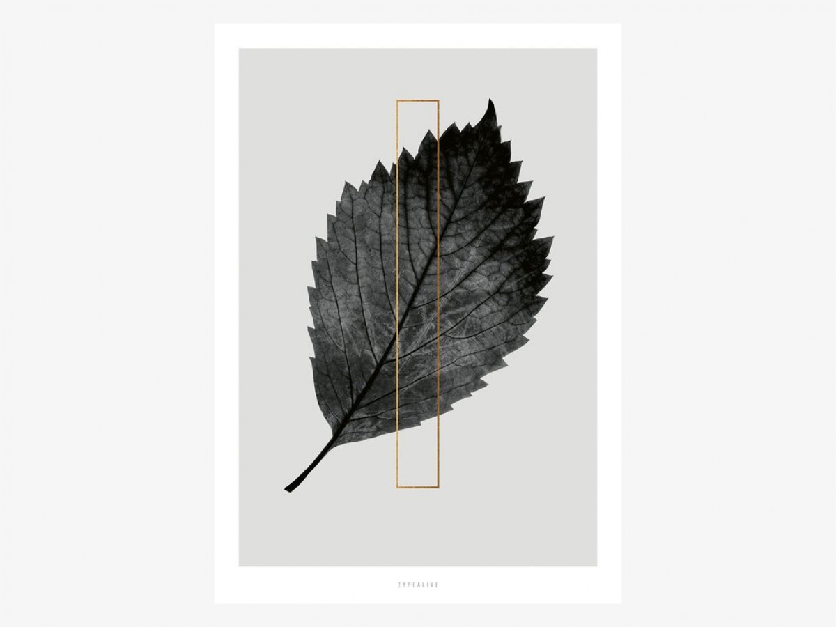 typealive / ABC Plants - I
