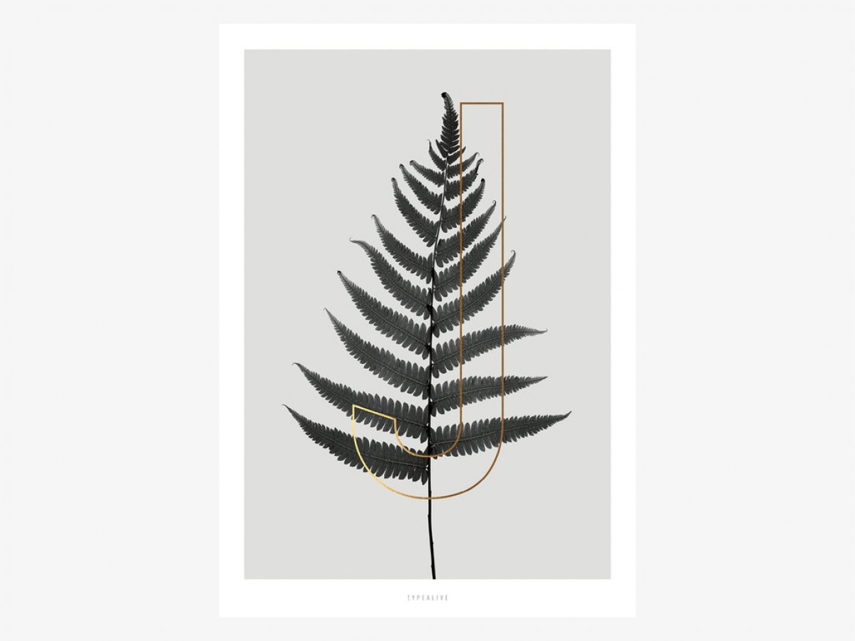 typealive / ABC Plants - J