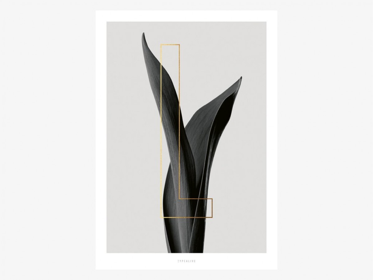 typealive / ABC Plants - L