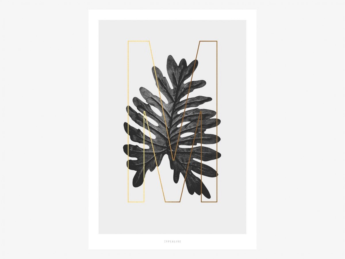 typealive / ABC Plants - M