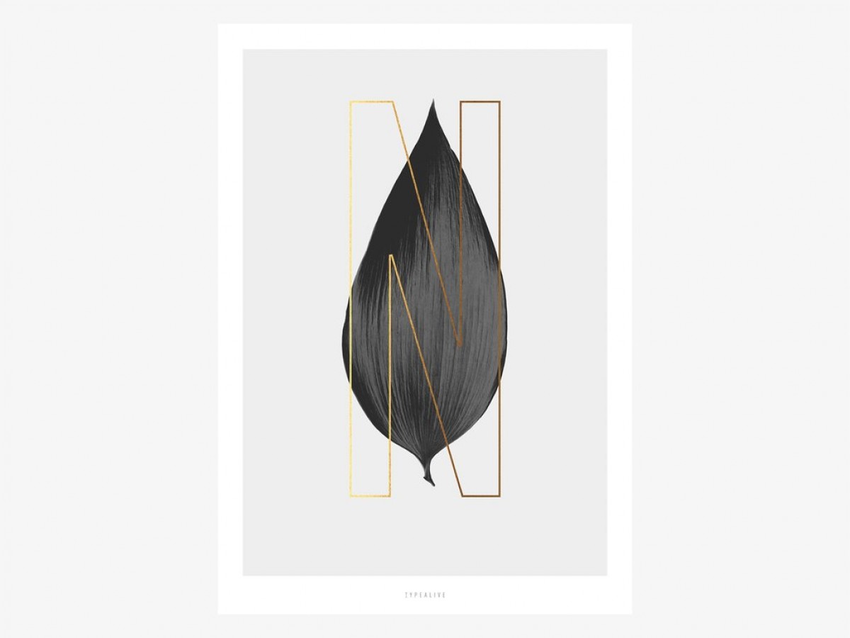 typealive / ABC Plants - N