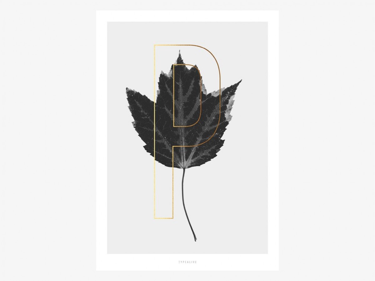 typealive / ABC Plants - P