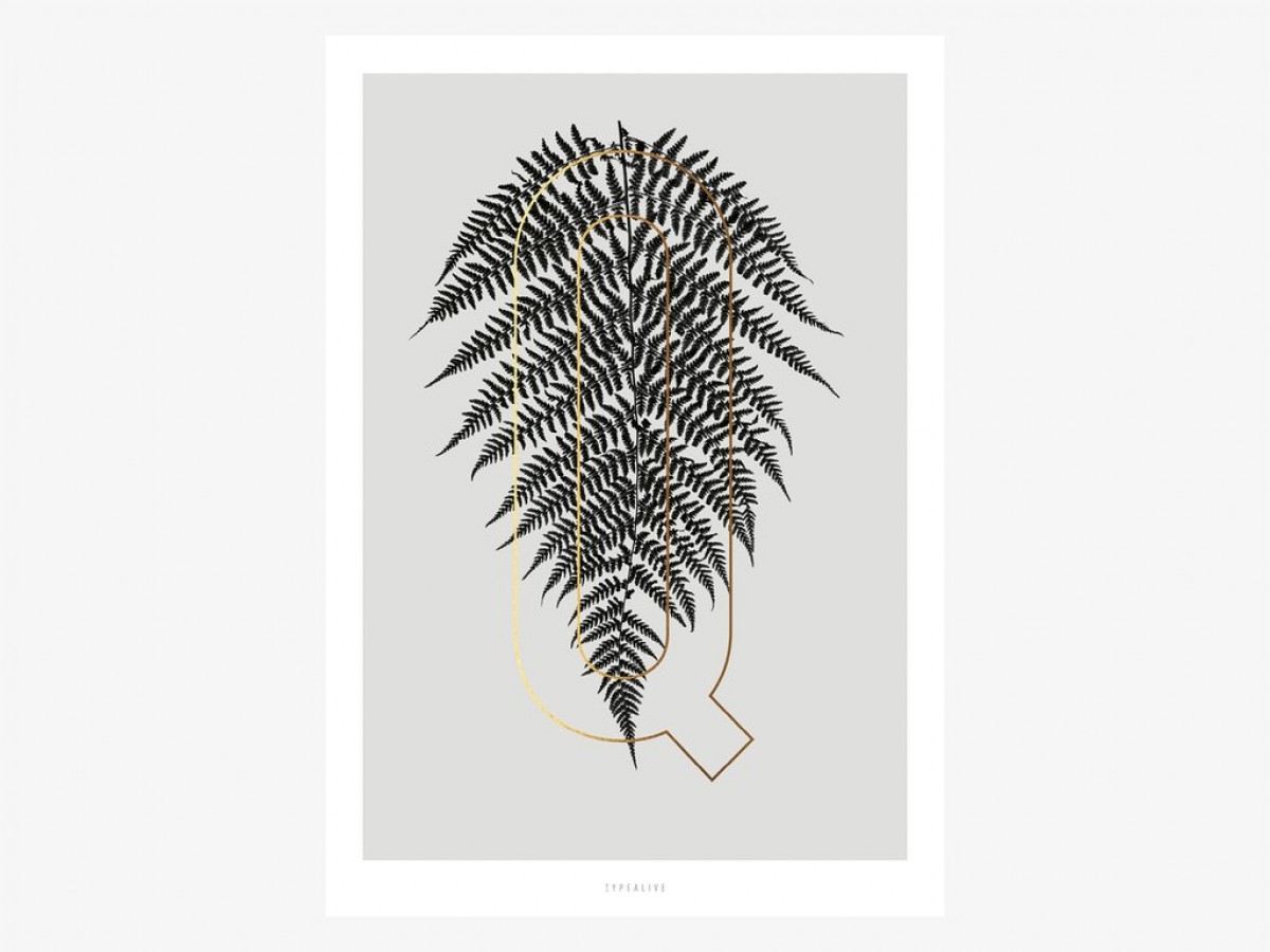 typealive / ABC Plants - Q
