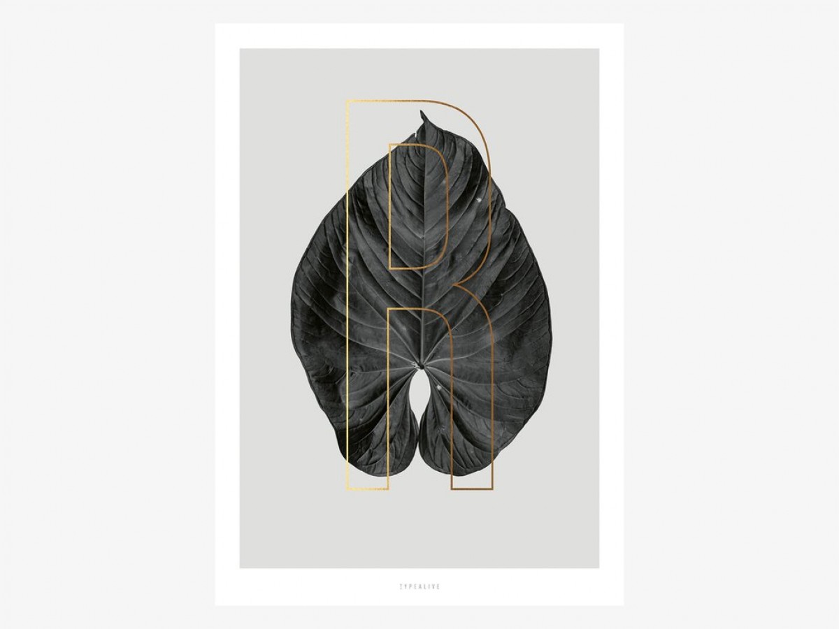 typealive / ABC Plants - R