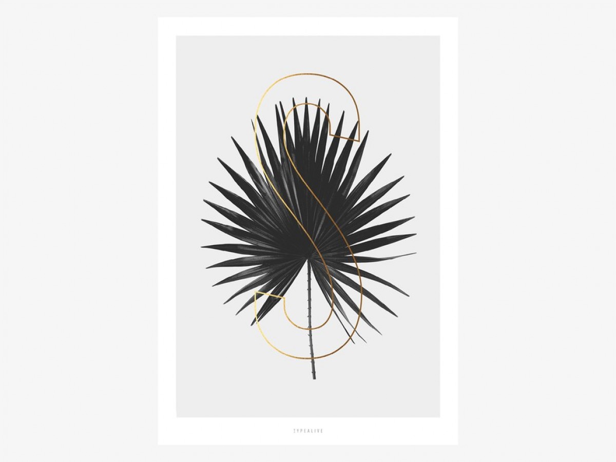typealive / ABC Plants - S