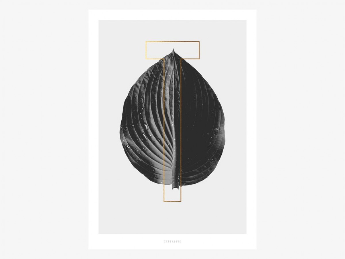 typealive / ABC Plants - T