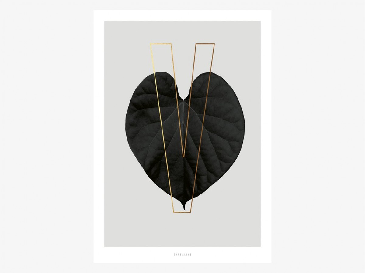 typealive / ABC Plants - V