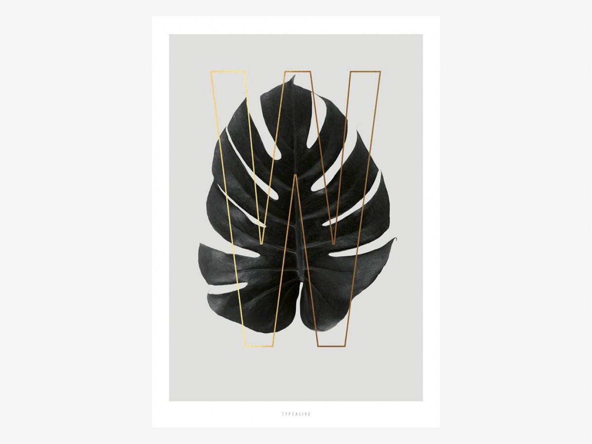 typealive / ABC Plants - W